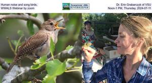 [Human noise and song birds, Dr. Erin Grabarczyk of VSU, WWALS Webinar by zoom, Noon-1 PM, Thursday, 2024-07-11]