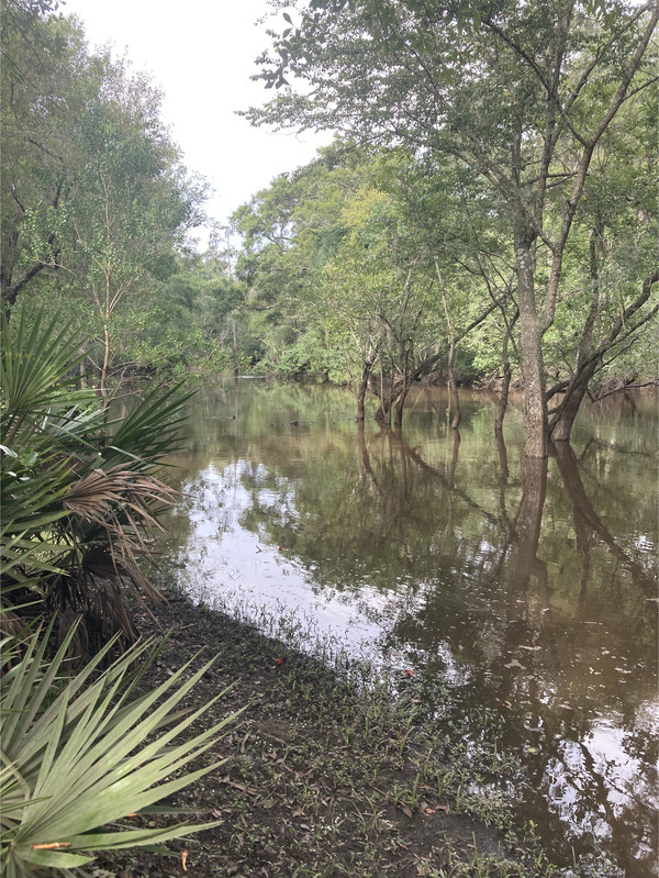 Langdale Park Boat Ramp other, Withlacoochee River @ North Valdosta Road 2024-07-11