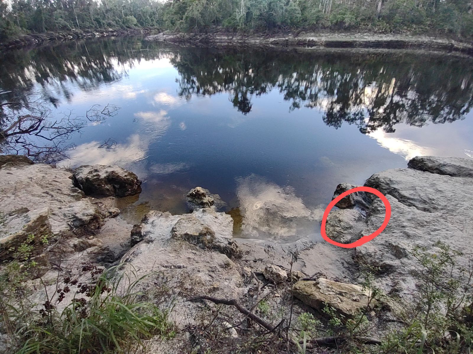 Location of reported bad smell at Anderson Spring, Suwannee River 2024-06-30