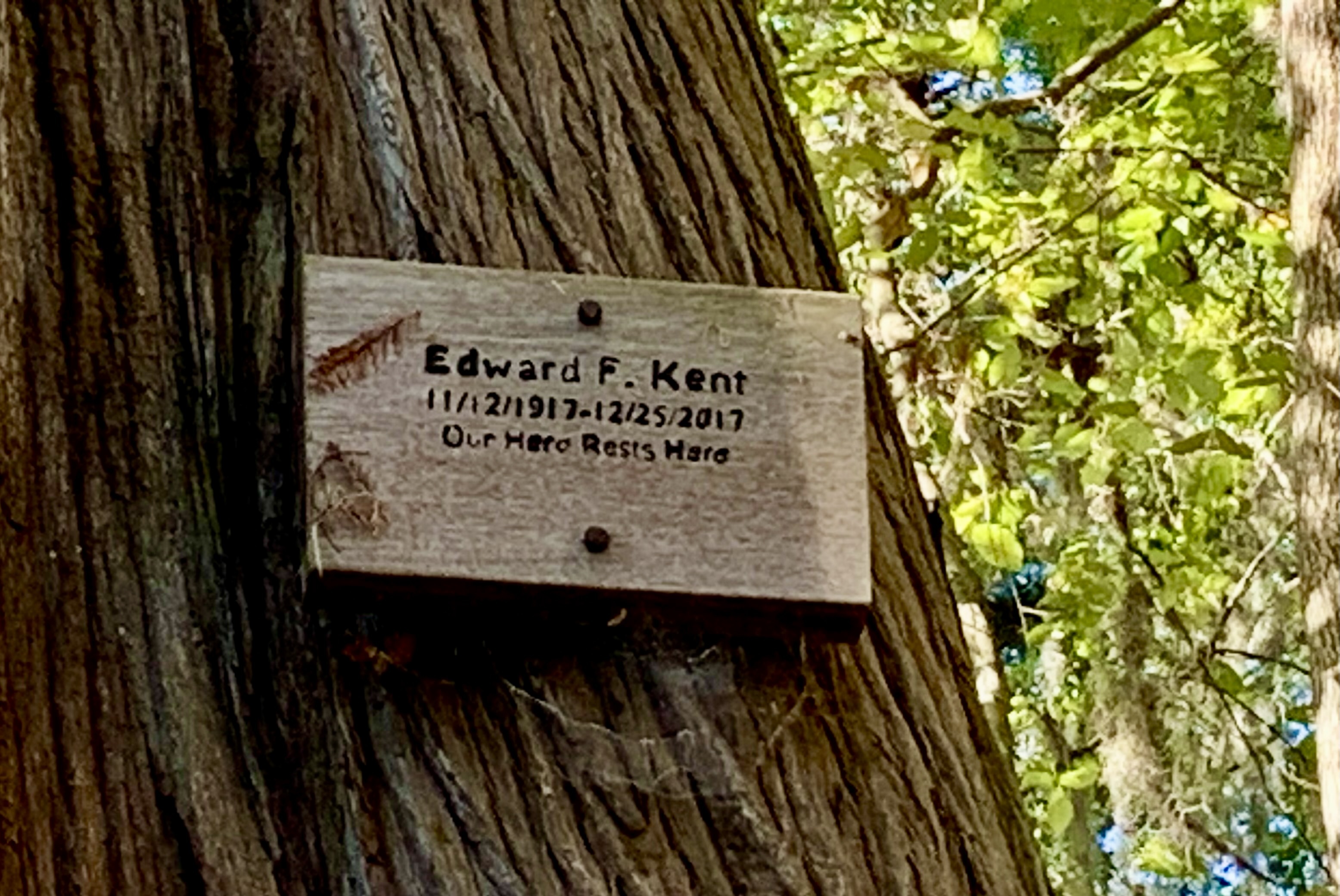 Our Hero Rests Here, a humble plaque to Edward F. Kent, who thru-paddled the Suwannee 8 times. --Shirley Kokidko