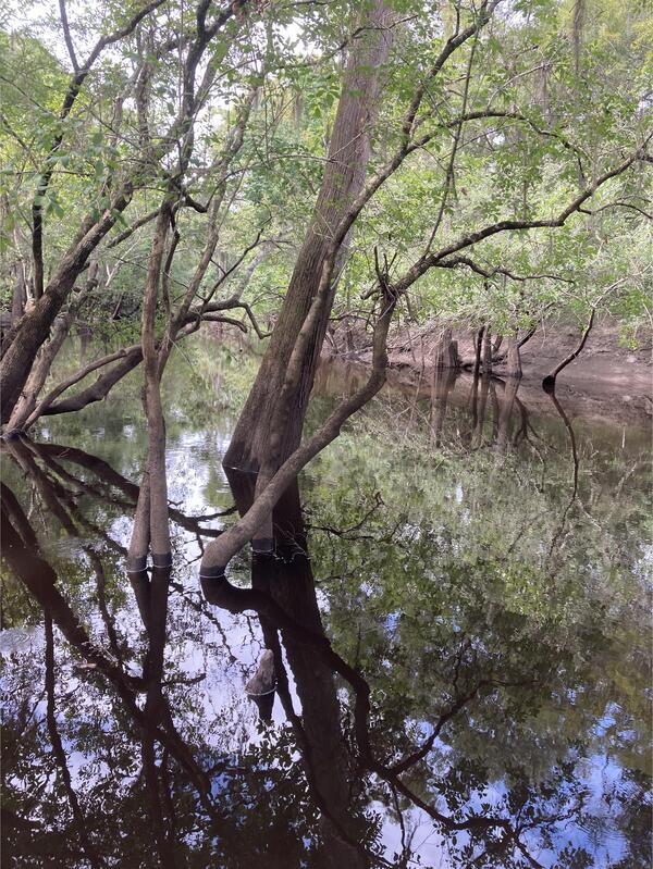 [Langdale Park Boat Ramp, Withlacoochee River @ North Valdosta Road 2024-07-25]