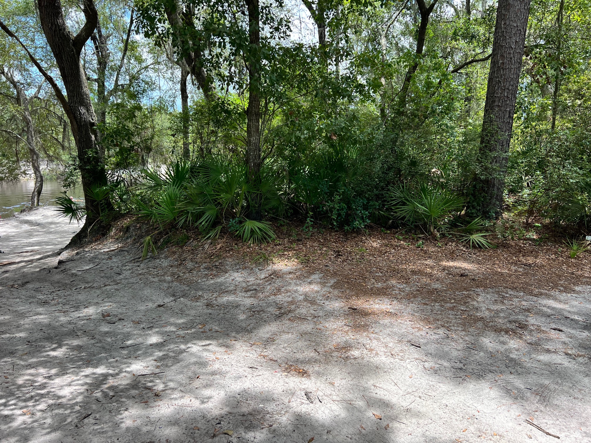 Naylor Park Beach, Alapaha River @ US 84 2024-07-25