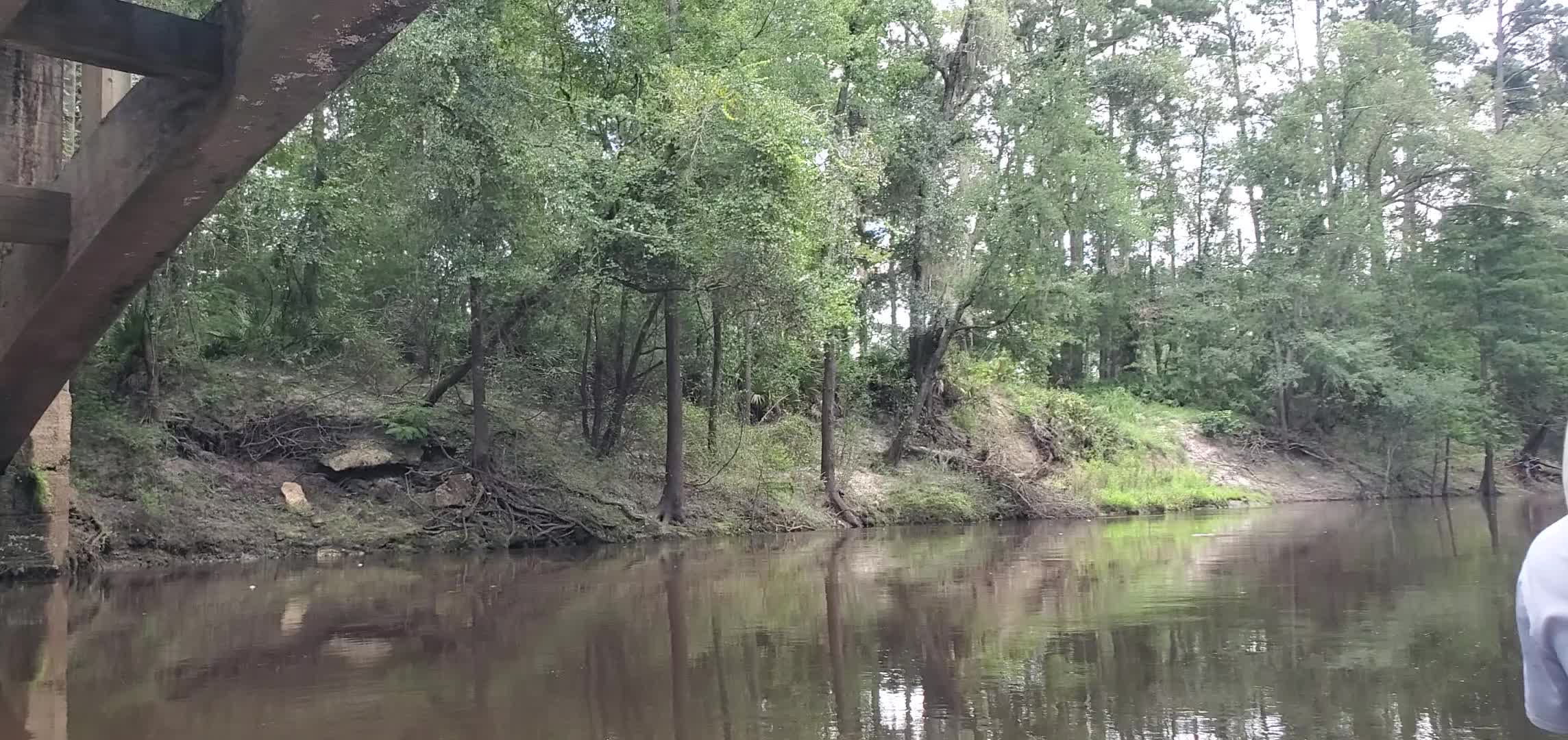 Movie: Old Spook Bridge take-out for Mayor and Chairman's Paddle, 12:51:19, 30.7902006, -83.4517211 (57M)