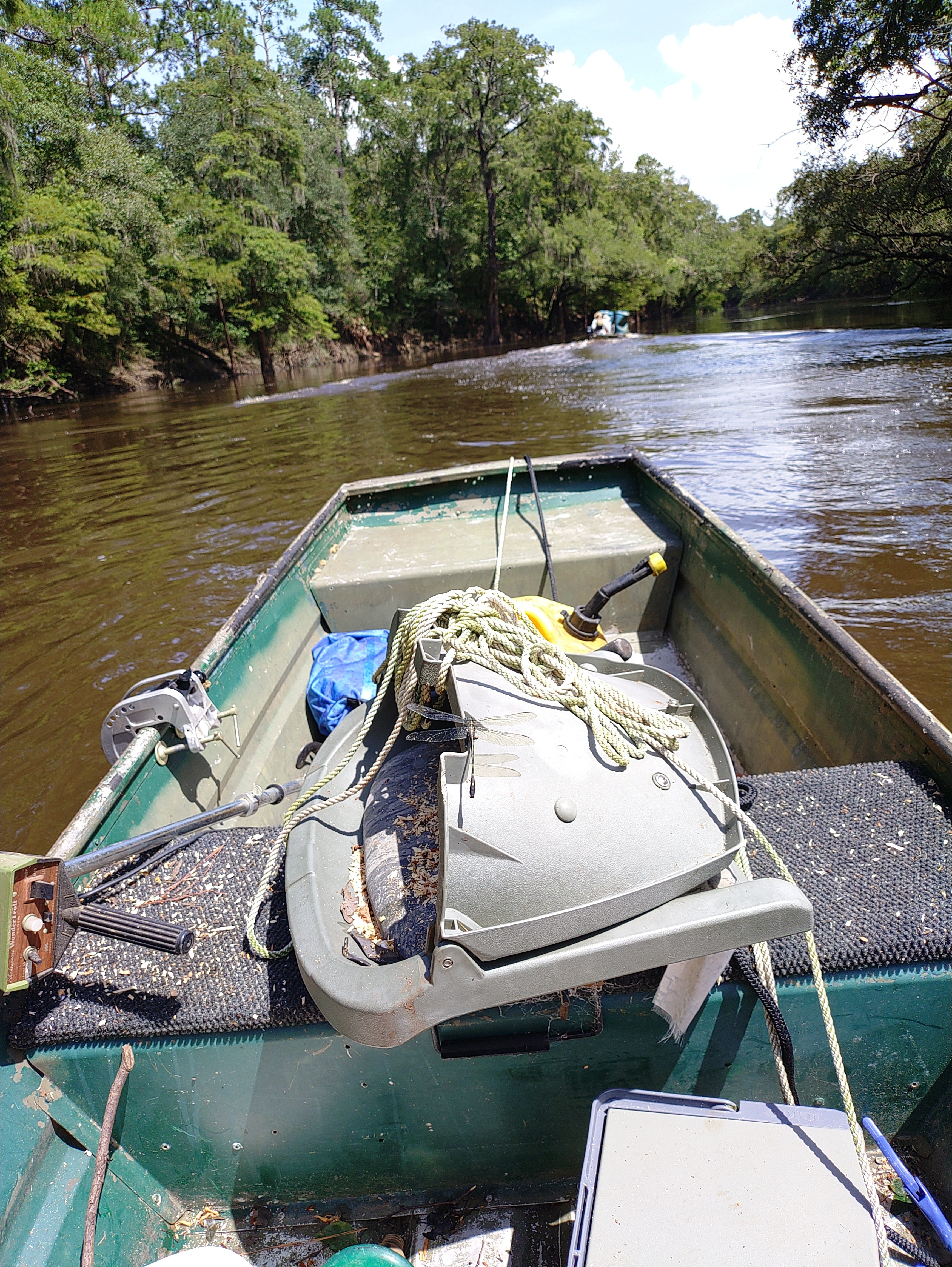 Back on the Withlacoochee River --Phil Royce, 2024:07:27 15:27:03