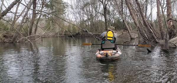 [Movie: Shawn's polesaw is a very useful device, 10:17:38, 30.8628750, -83.3188440 (10M)]