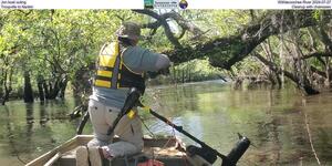 [Jon boat outing, Withlacoochee River 2024-07-27, Troupville to Nankin, Cleanup with chainsaws]