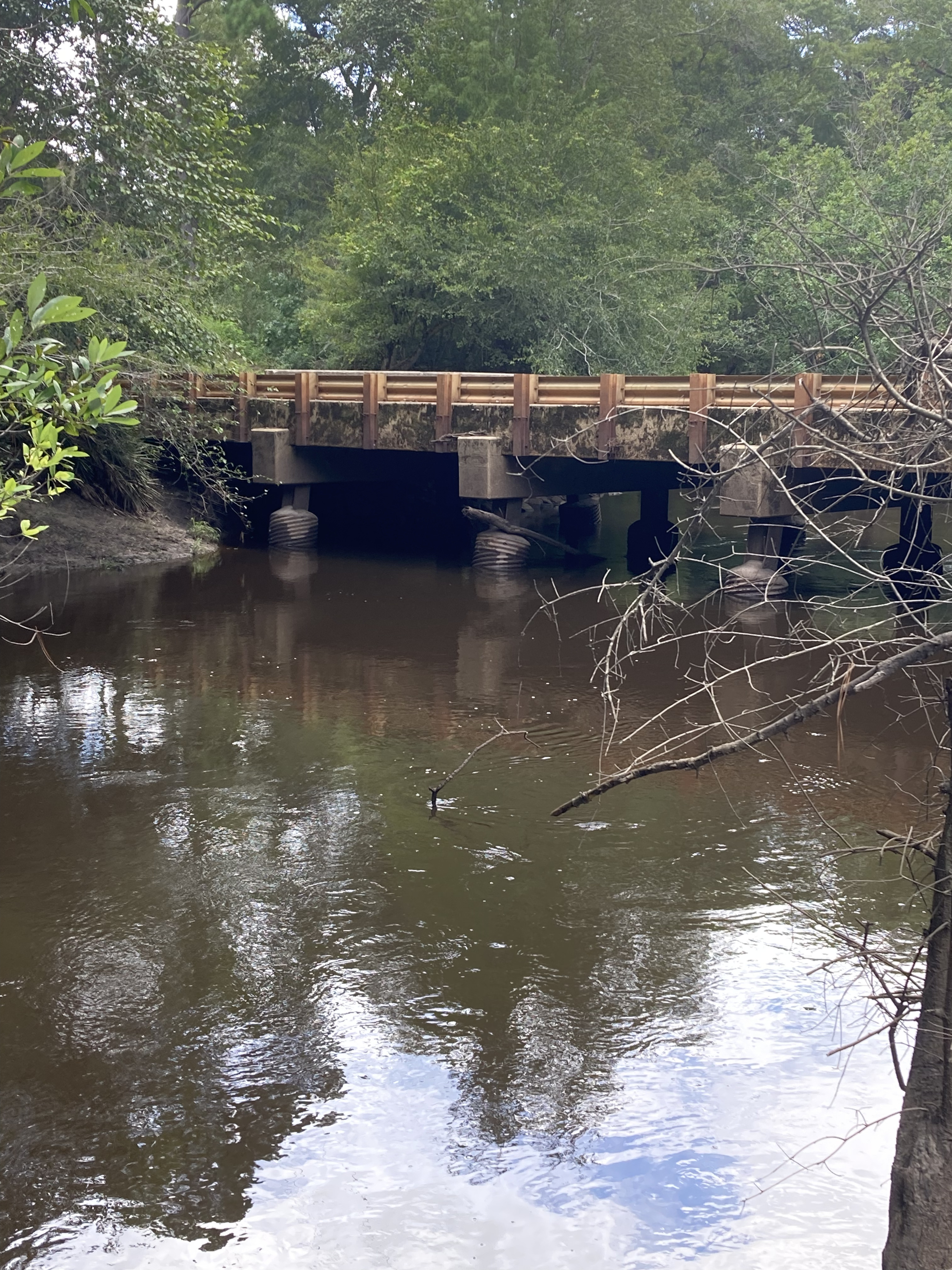 Withlacoochee River sometimes dirty but usually pretty clean; also PFAS