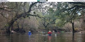 [Alapaha River to Suwannee River 2024-08-10, US 41 to Gibson Park, Up to Alapaha River Rise]