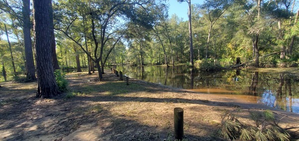 Several hundred feet of flowing water in the entrance road, 17:30:56, 30.8865396, -83.3230582