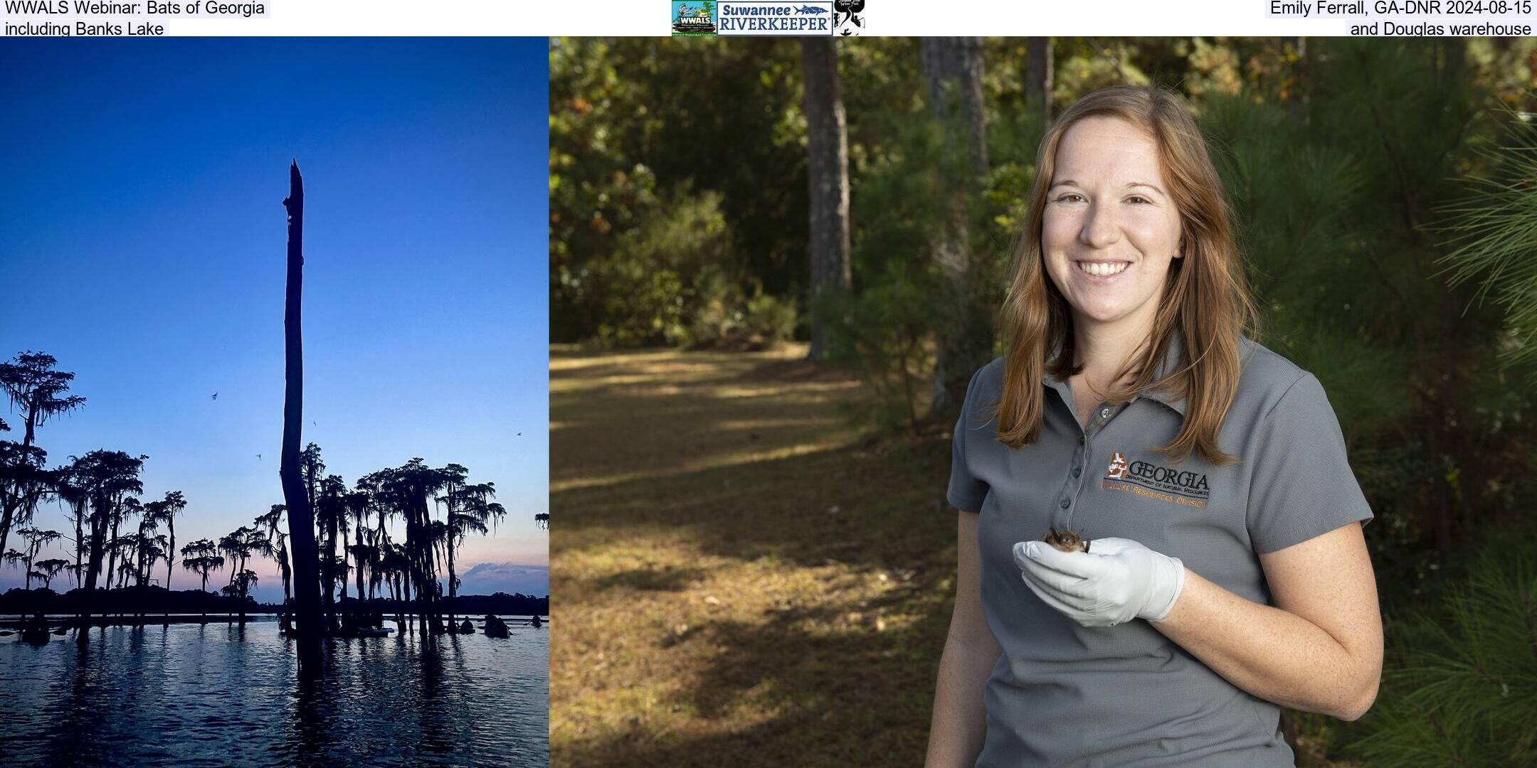 WWALS Webinar: Bats of Georgia, Emily Ferrall, GA-EPD 2024-08-15, including Banks Lake and Douglas warehouse