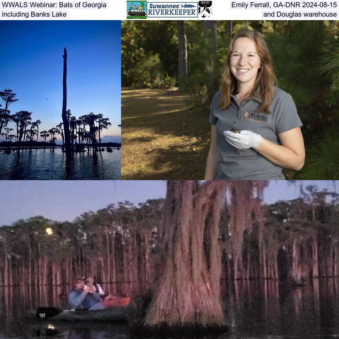 WWALS Webinar: Bats of Georgia, Emily Ferrall, GA-EPD 2024-08-15, including Banks Lake and Douglas warehouse