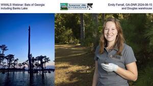 [WWALS Webinar: Bats of Georgia, Emily Ferrall, GA-EPD 2024-08-15, including Banks Lake and Douglas warehouse]