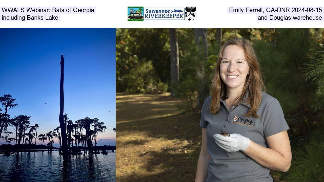 WWALS Webinar: Bats of Georgia, Emily Ferrall, GA-EPD 2024-08-15, including Banks Lake and Douglas warehouse