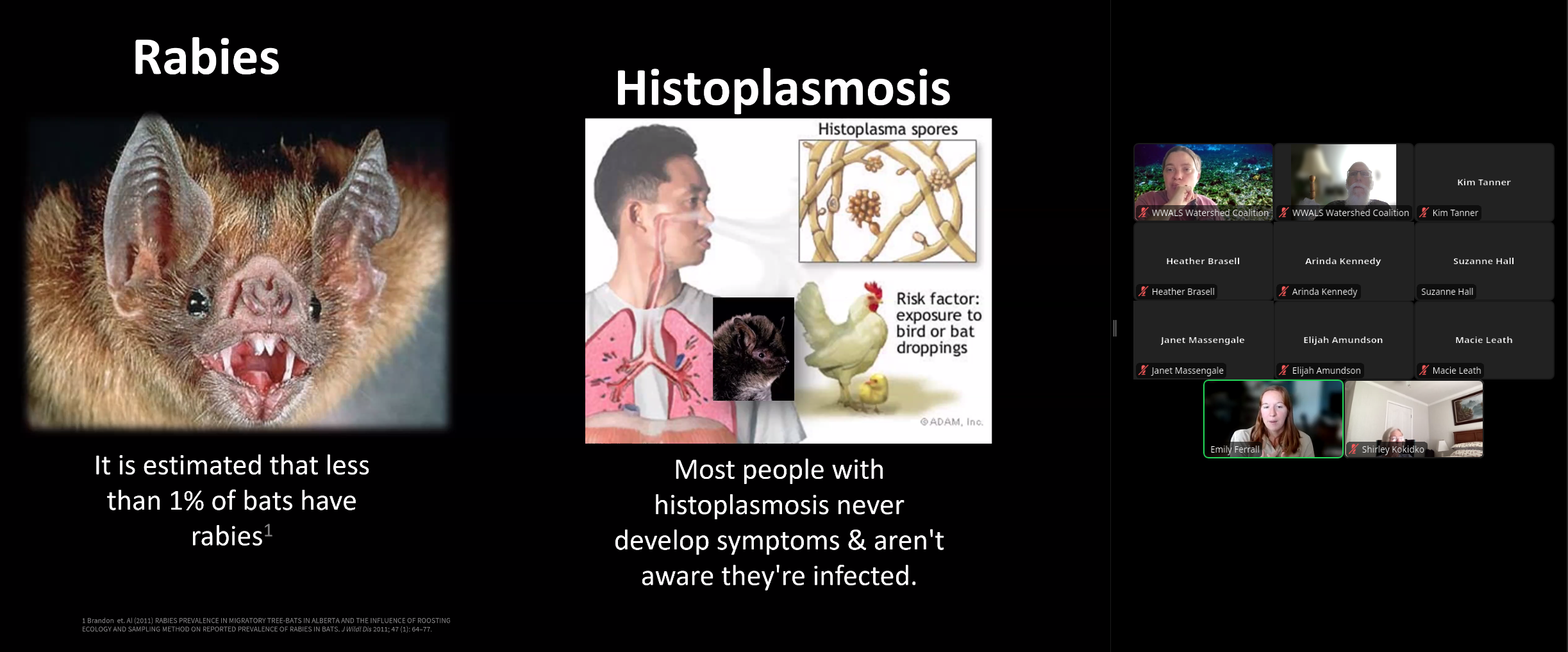 Histoplasmosis