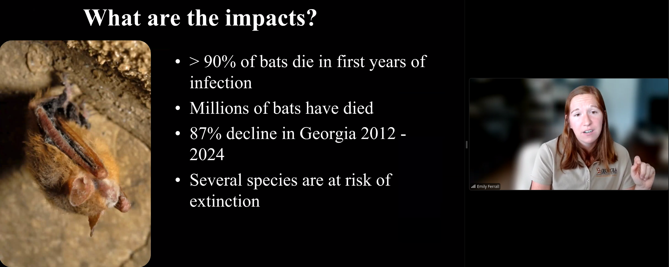 What are the impacts?