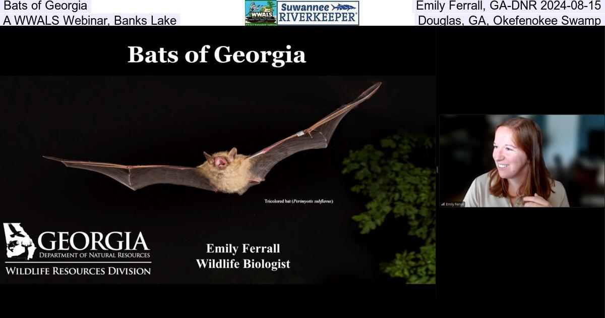 Bats of Georgia, Emily Ferrall, GA-DNR 2024-08-15, A WWALS Webinar, Banks Lake, Douglas, GA, Okefenokee Swamp