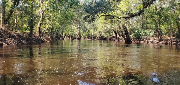 Downstream from the I-75 Bridge, 11:41:37, 30.8547138, -83.3349842