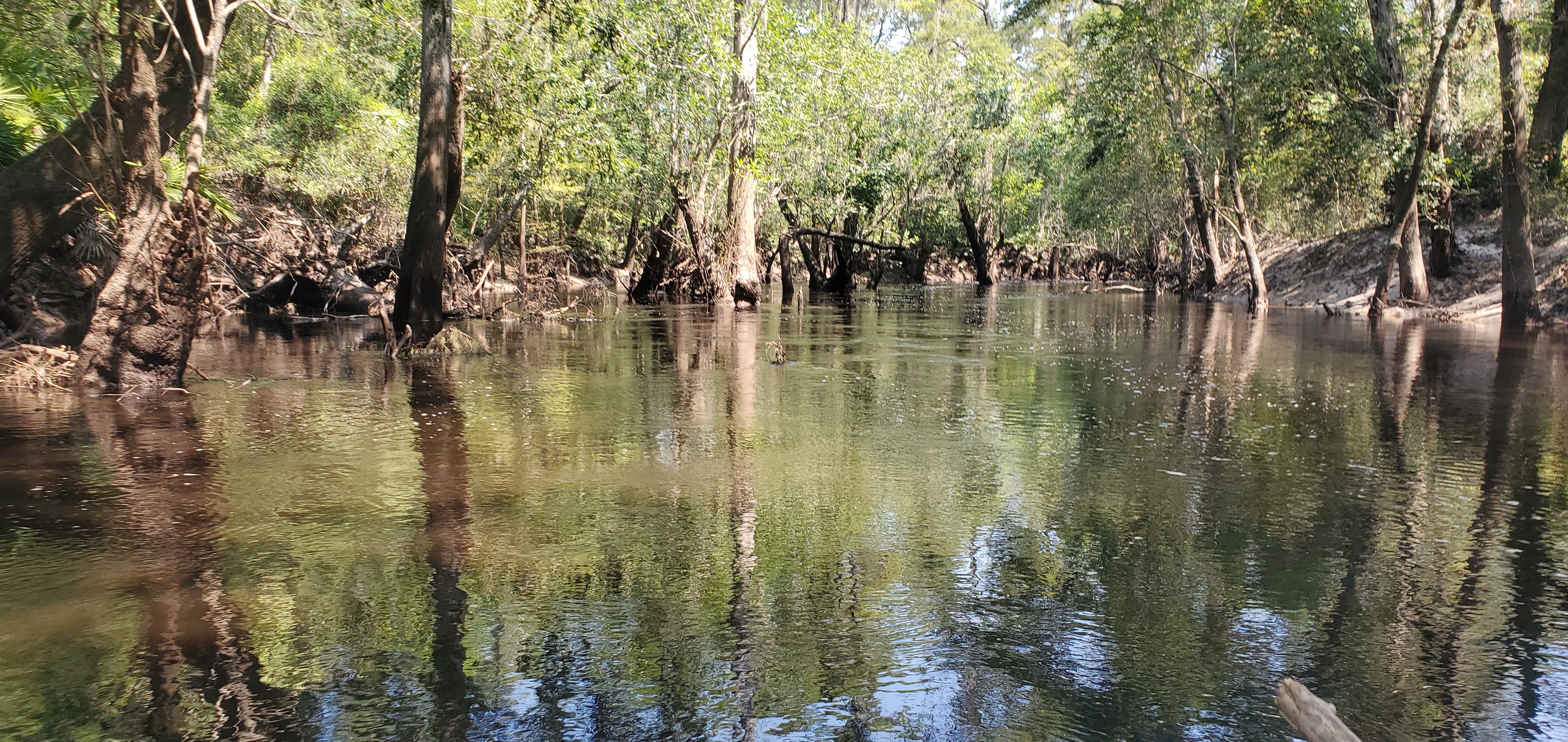 Heading upstream, 11:37:43, 30.8535280, -83.3361276