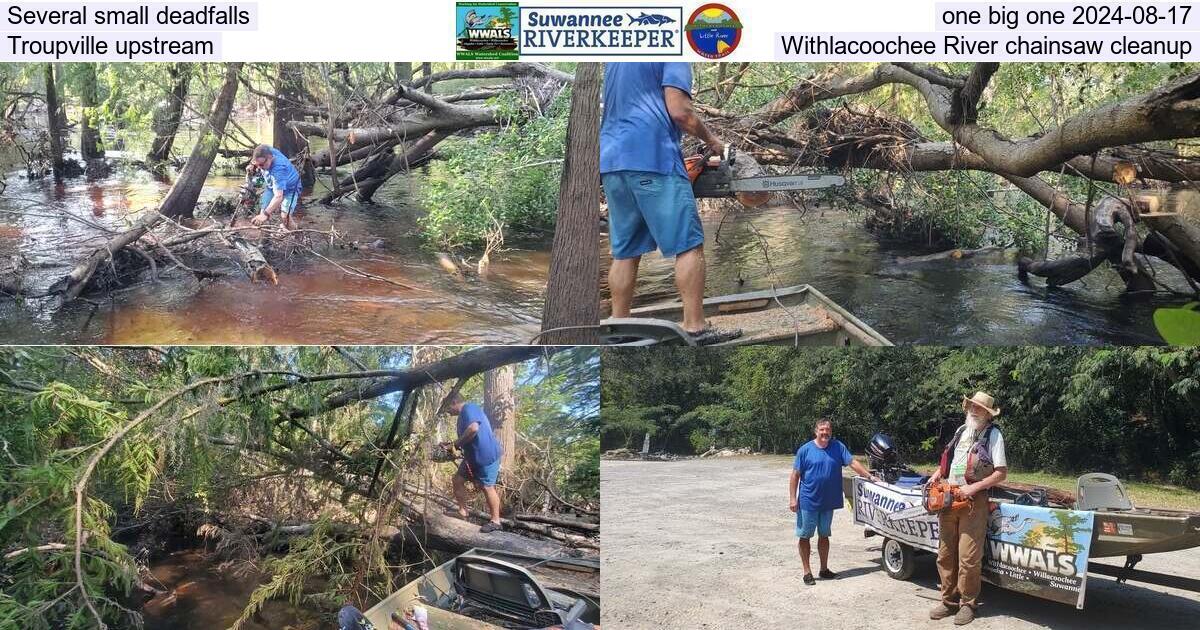 Several small deadfalls, one big one 2024-08-17, Troupville upstream Withlacoochee River chainsaw cleanup