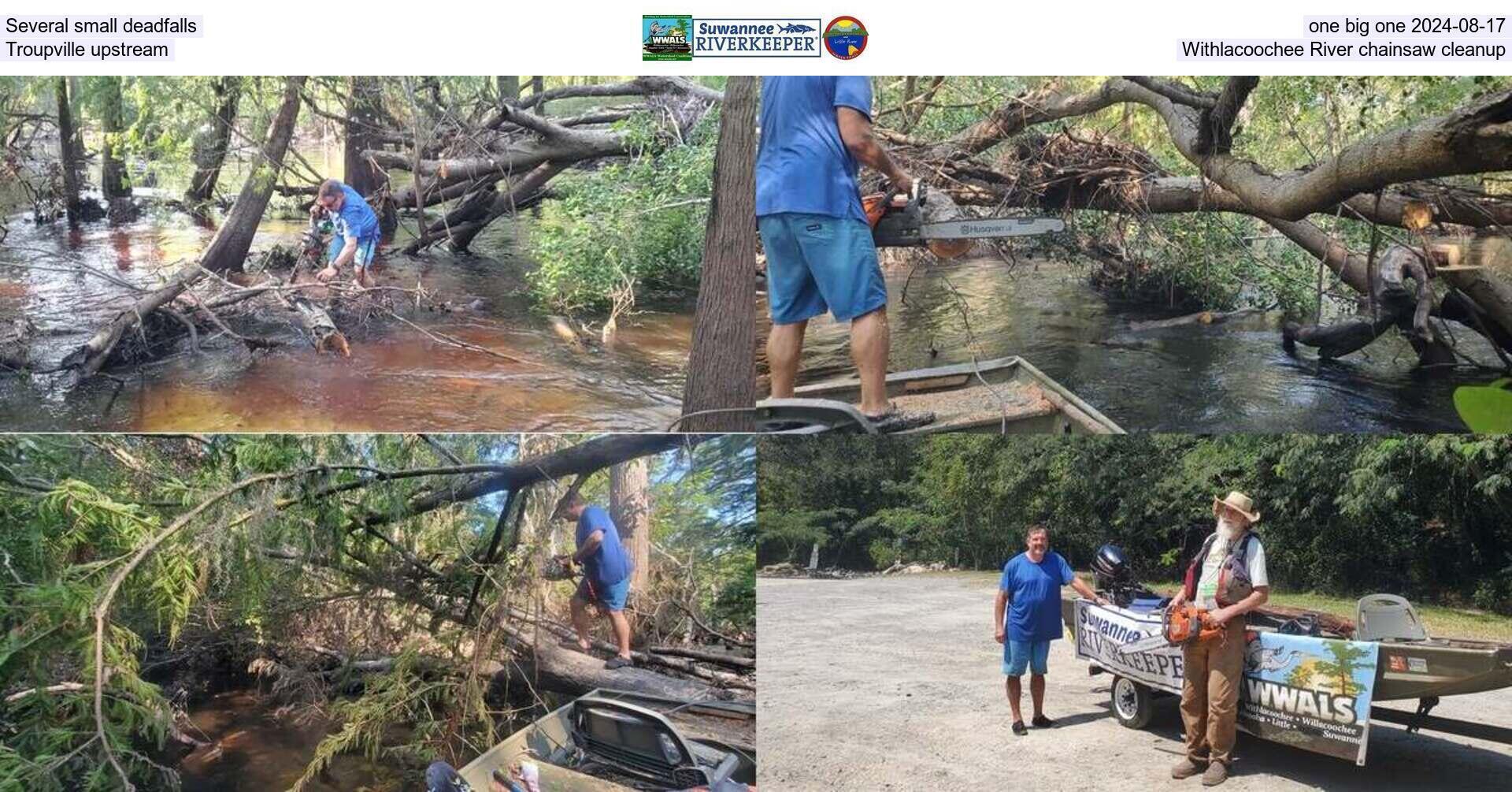 Several small deadfalls, one big one 2024-08-17, Troupville upstream Withlacoochee River chainsaw cleanup