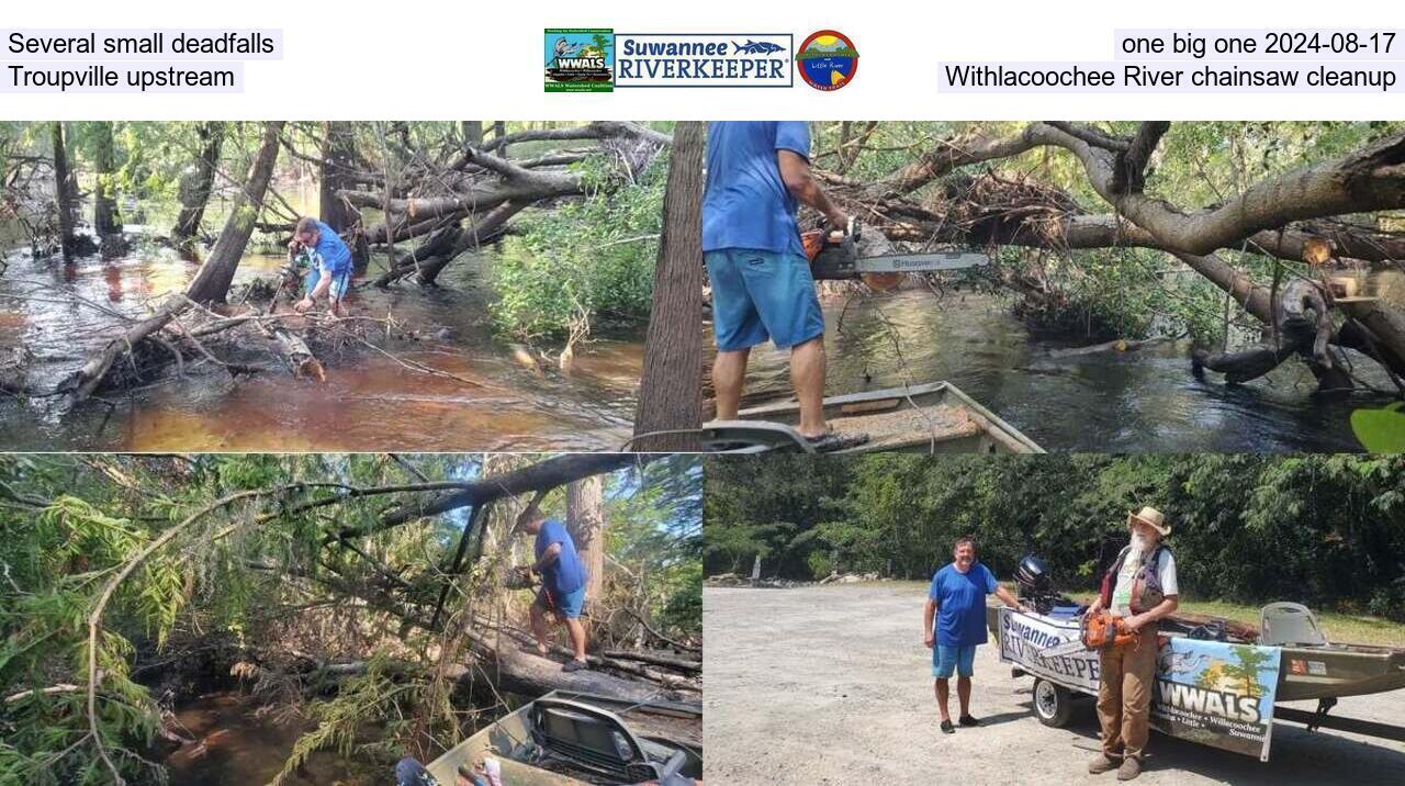 Several small deadfalls, one big one 2024-08-17, Troupville upstream Withlacoochee River chainsaw cleanup