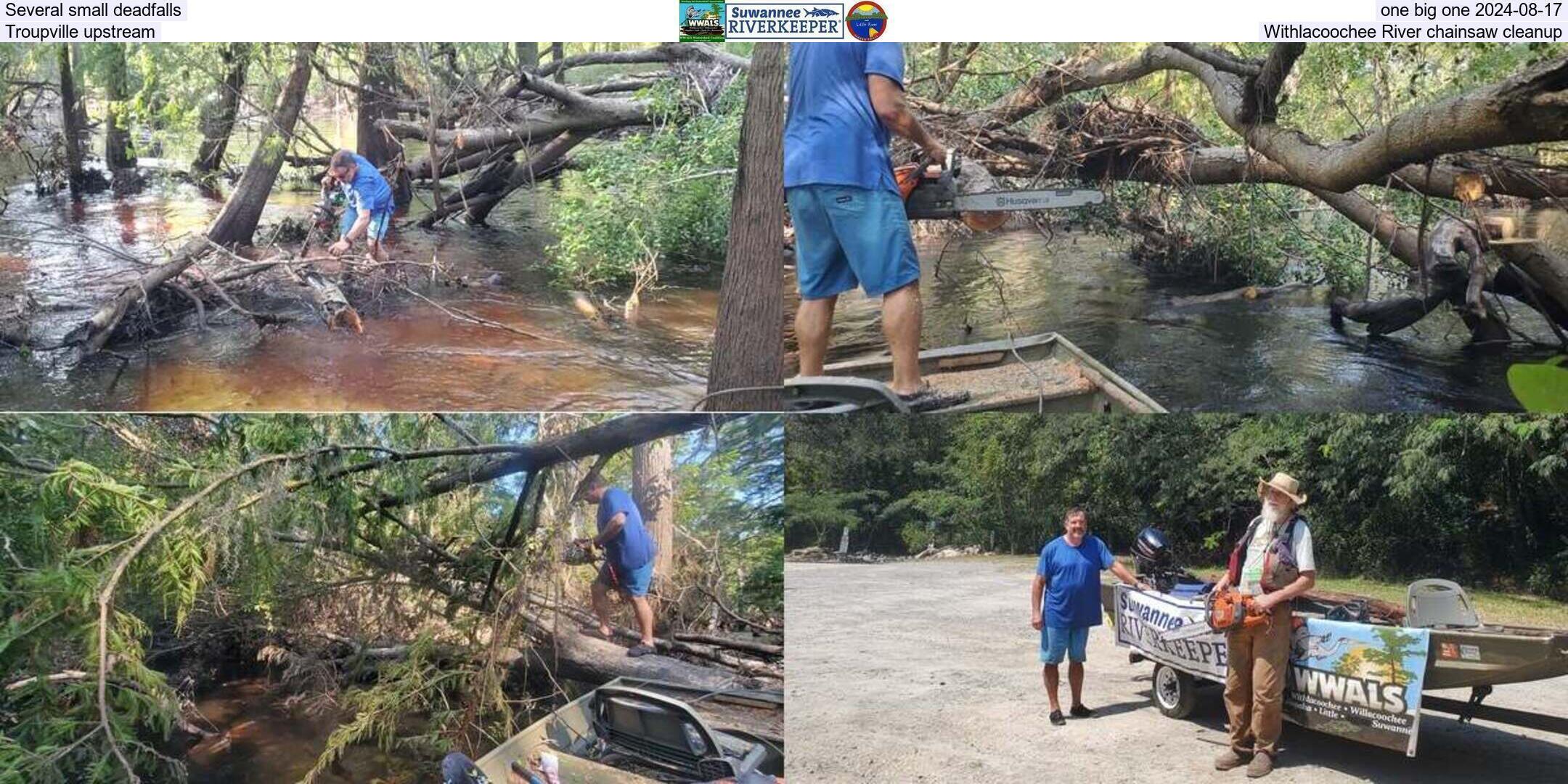 Several small deadfalls, one big one 2024-08-17, Troupville upstream Withlacoochee River chainsaw cleanup