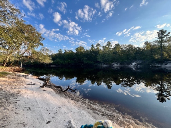 Downstream, Naylor Park Beach, Alapaha River @ US 84 2024-08-21