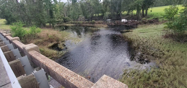 Downstream Little Alapaha River, US 41