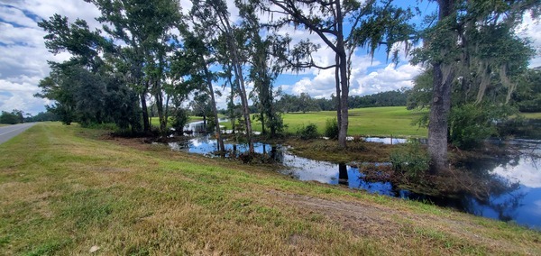 More Upstream Little Alapaha River, US 41, 14:26:14, 30.5240145, -83.0161228