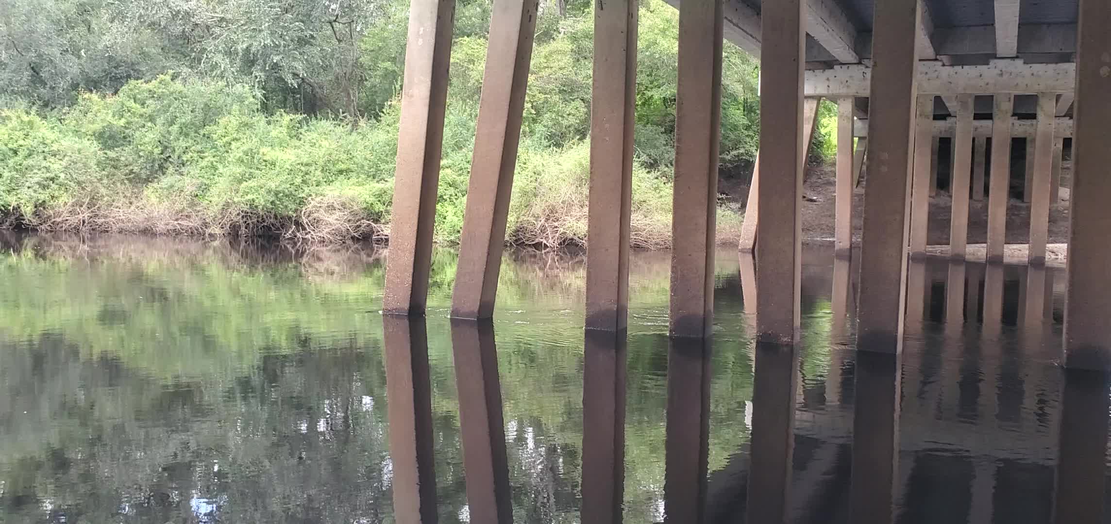 Movie: Alapaha River under US 41 Bridge, 14:18:34, 30.5287833, -83.0389716 (88M)