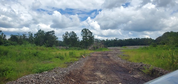 Cat Creek Biosolids Site, 14:48:30, 30.4845661, -82.9514200