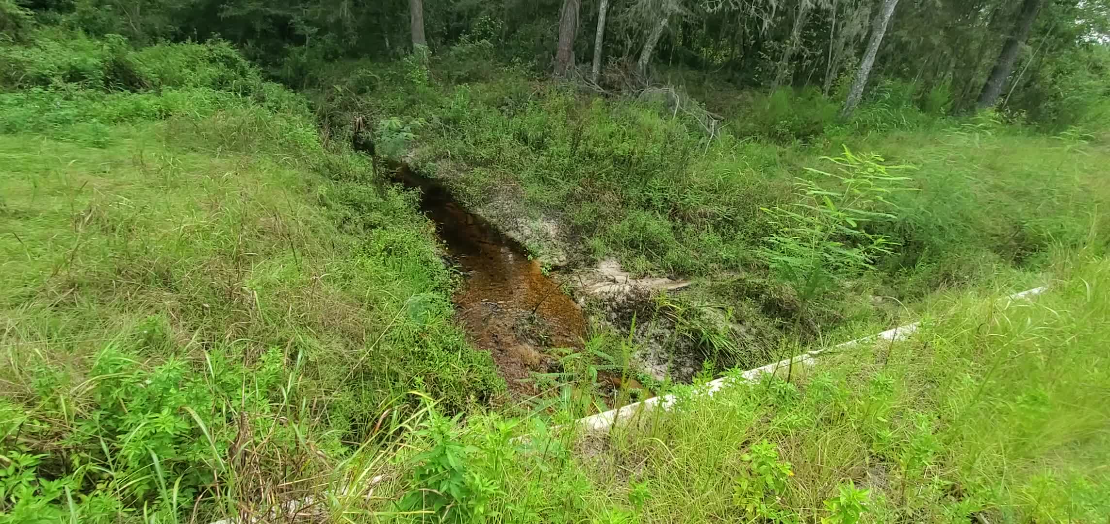 Movie: Cat Creek flowing north, 15:00:55, 30.4736975, -82.9406837 (26M)