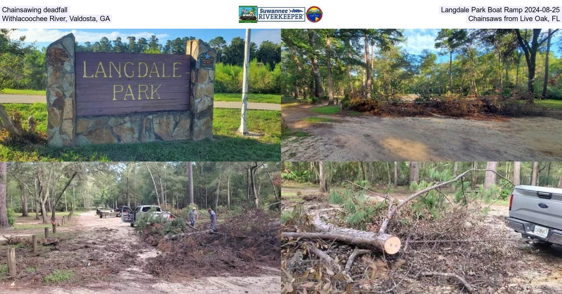 Chainsawing deadfall, Langdale Park Boat Ramp 2024-08-25, Withlacoochee River, Valdosta, GA, Chainsaws from Live Oak, FL