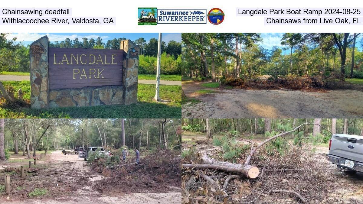 Chainsawing deadfall, Langdale Park Boat Ramp 2024-08-25, Withlacoochee River, Valdosta, GA, Chainsaws from Live Oak, FL