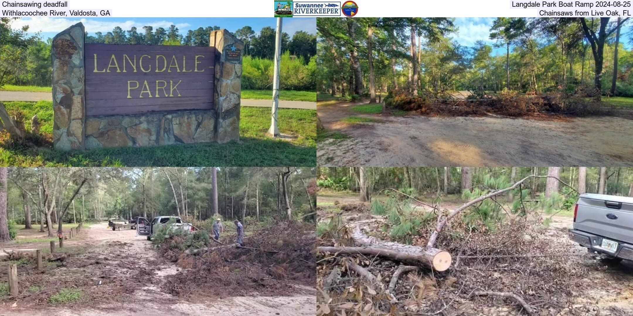 Chainsawing deadfall, Langdale Park Boat Ramp 2024-08-25, Withlacoochee River, Valdosta, GA, Chainsaws from Live Oak, FL