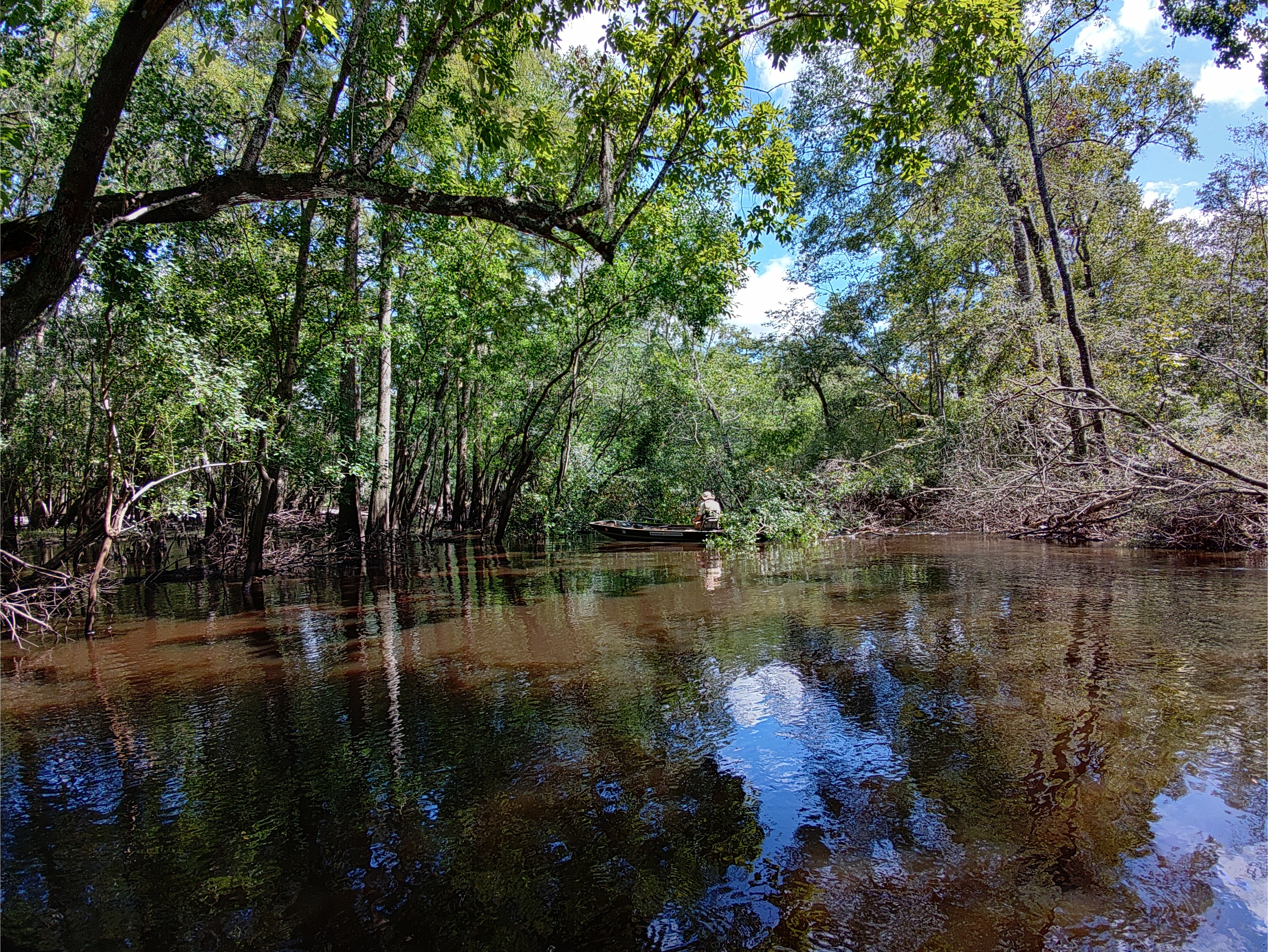 Context jsq Above Sugar Creek Deadfall --Phil Royce, 15:29:40, 30.8647, -83.3211050