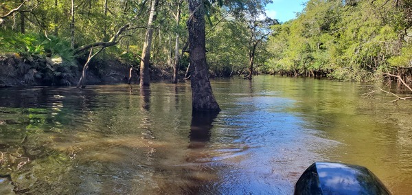 Idyllic Withlacoochee River, 10:24:27, 30.8895764, -83.3218722