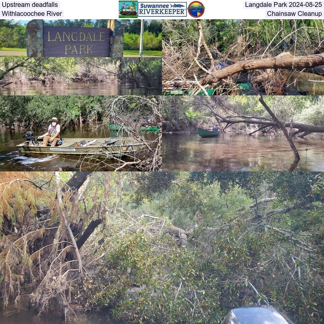 Upstream deadfalls, Langdale Park 2024-08-25, Withlacoochee River, Chainsaw Cleanup