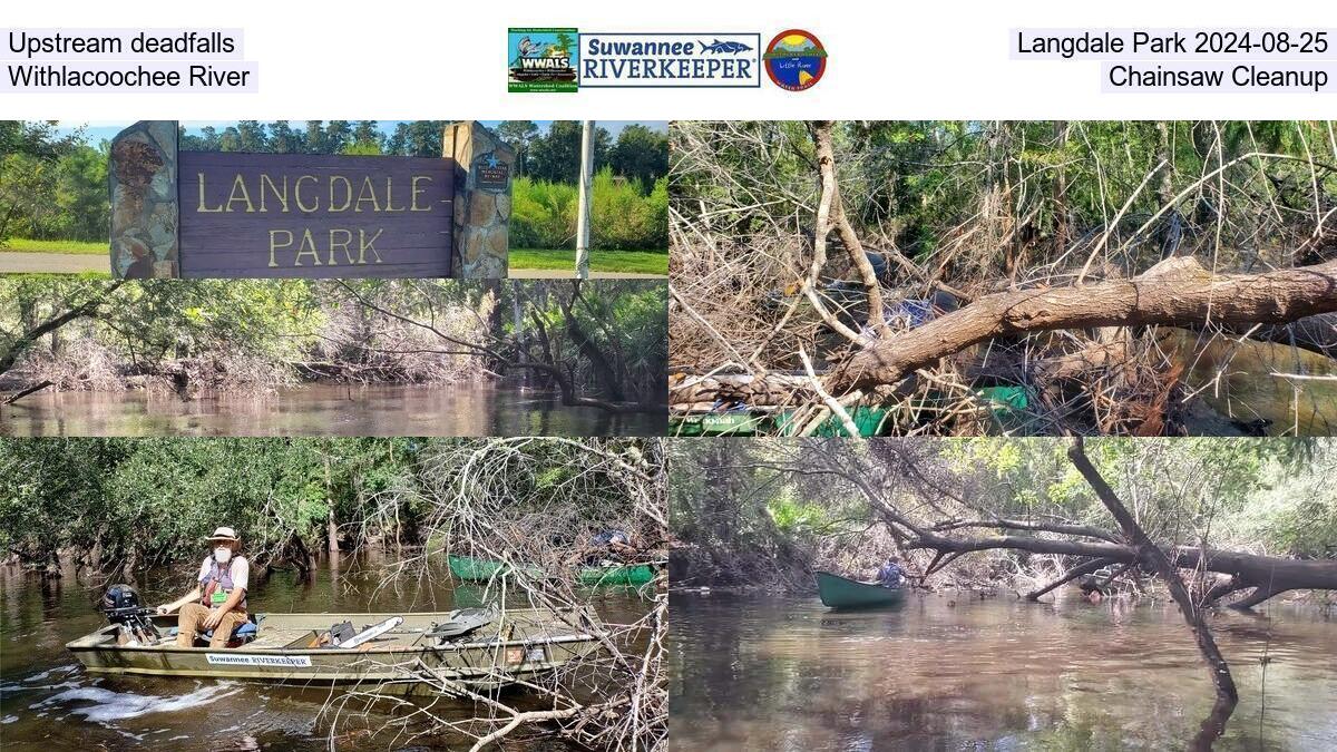 Upstream deadfalls, Langdale Park 2024-08-25, Withlacoochee River, Chainsaw Cleanup