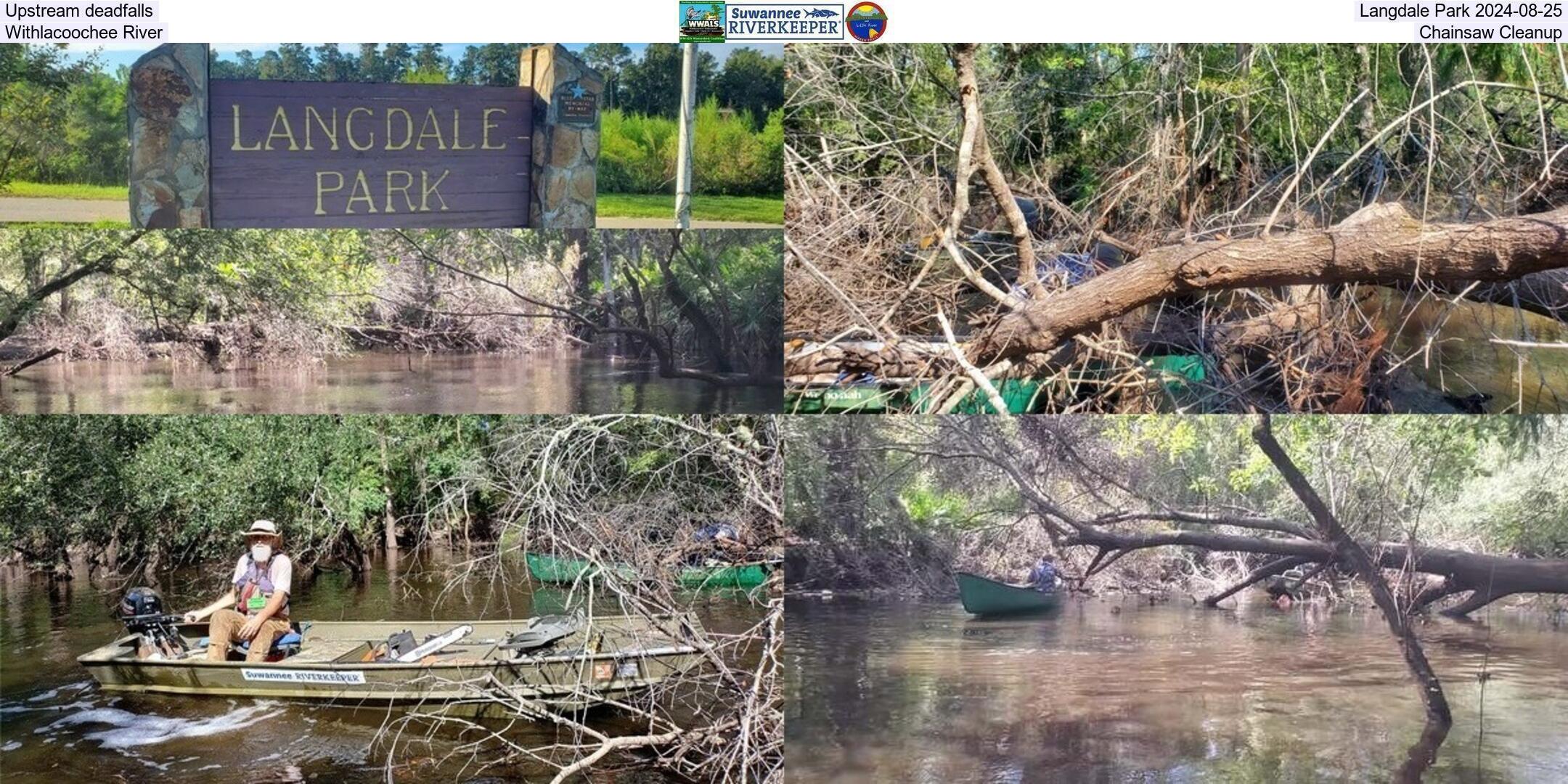 Upstream deadfalls, Langdale Park 2024-08-25, Withlacoochee River, Chainsaw Cleanup