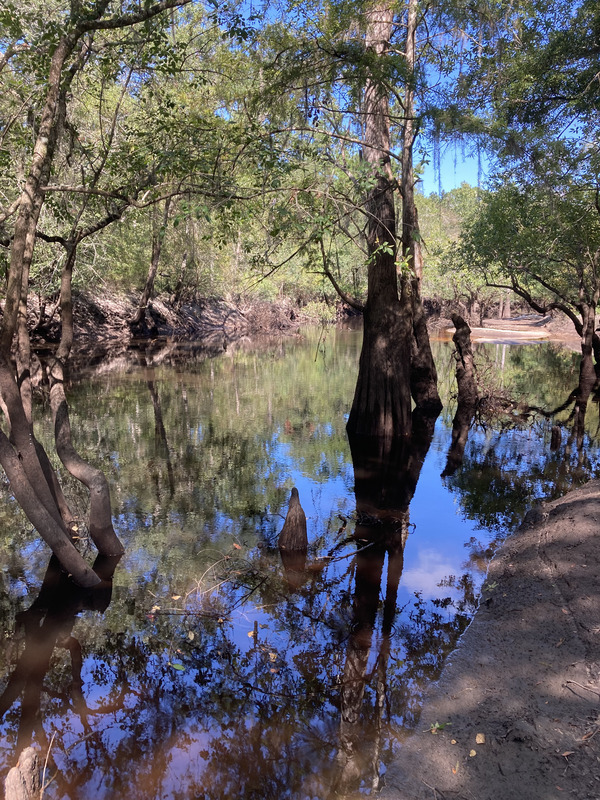 Upstream, Staten Road, Withlacoochee River @ Staten Road 2024-08-29