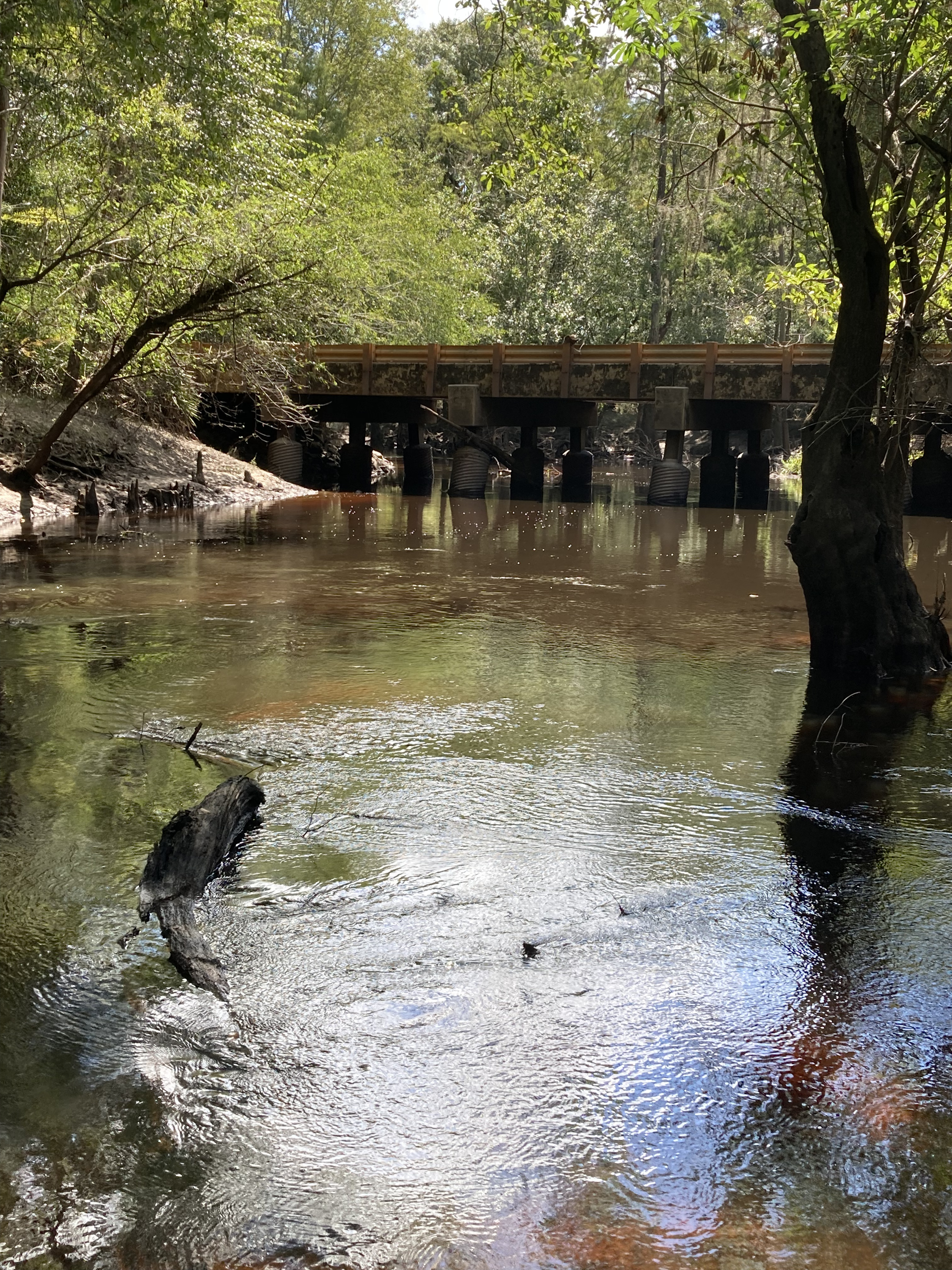 Tyler Bridge, Franklinville, Withlacoochee River @ Frankinville Road 2024-08-29