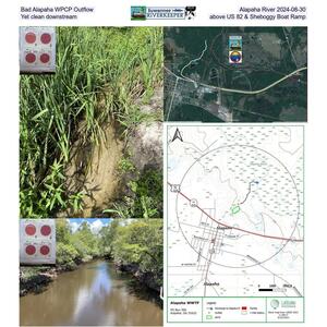 [Bad Alapaha WPCP Outflow, Alapaha River 2024-08-30 Yet clean downstream above US 82 & Sheboggy Boat Ramp]