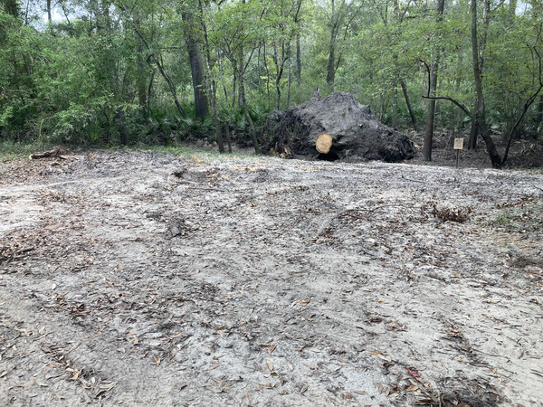 Road Deadfall Removed, Langdale Park Boat Ramp other, Withlacoochee River @ North Valdosta Road 2024-09-05, 2024:09:05 10:25:48, 30.8877778, -83.3237750