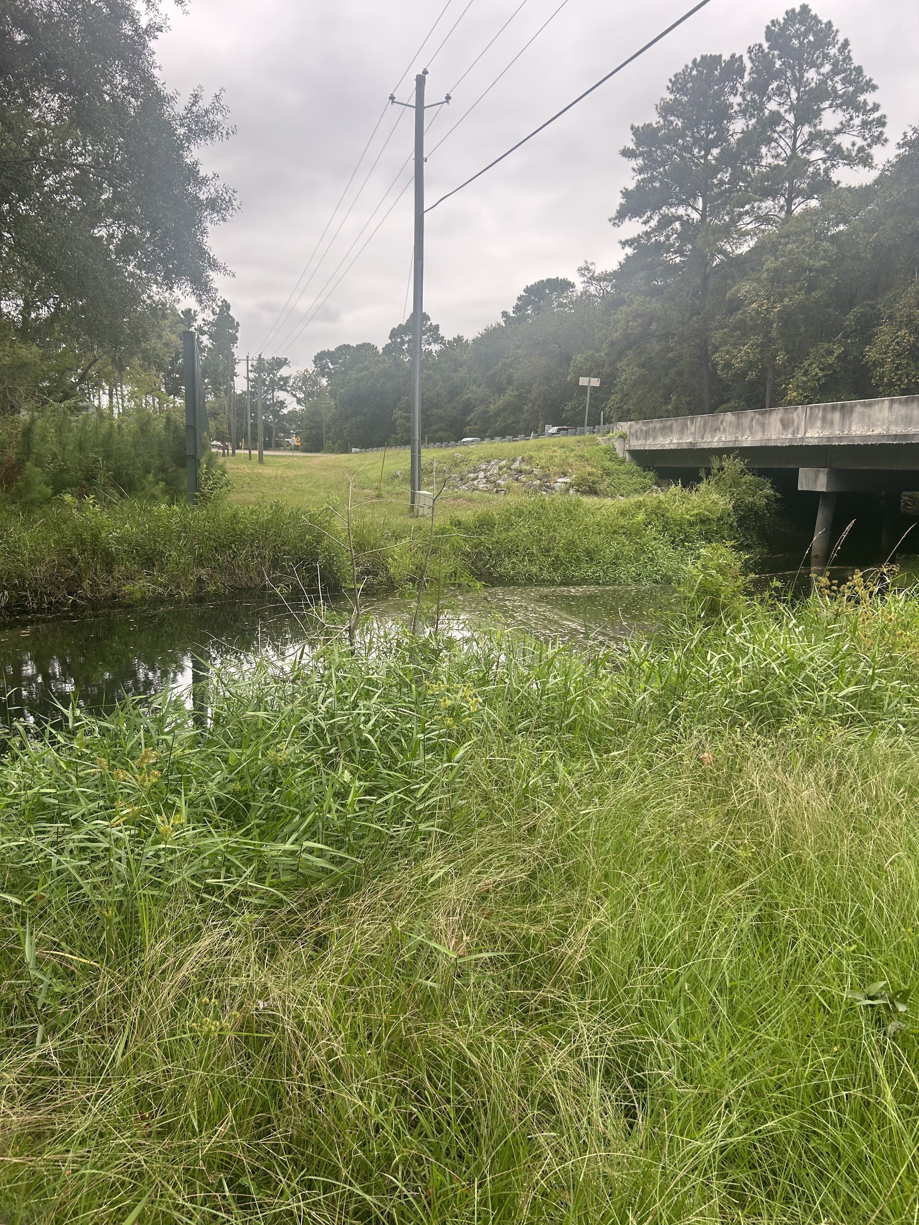 Power Line, Franks Creek @ GA 122, Little River, 2024-09-04, 2024:09:04 17:31:37, 30.9936111, -83.3936472