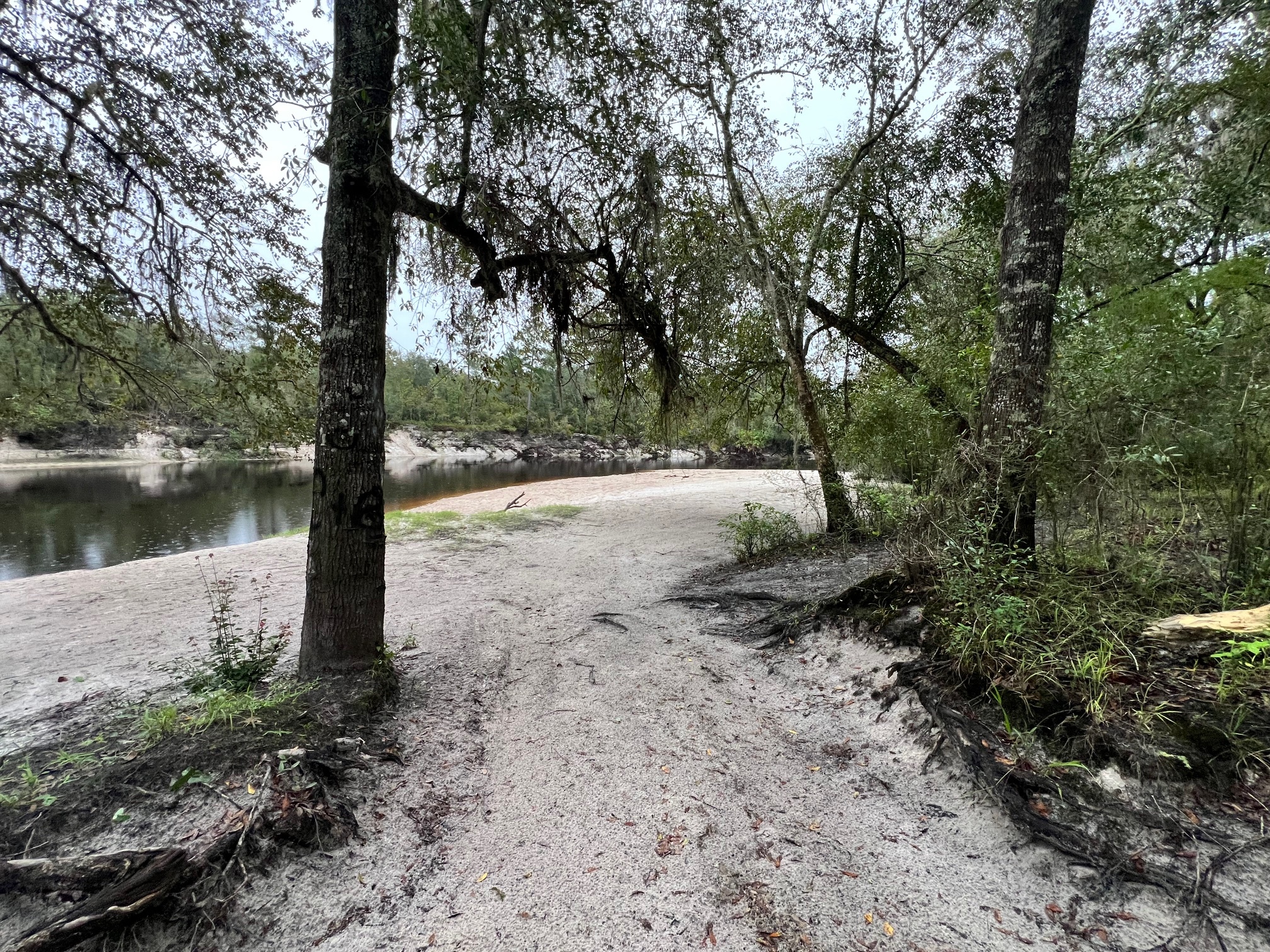 Naylor Park Beach, Alapaha River @ US 84 2024-09-12