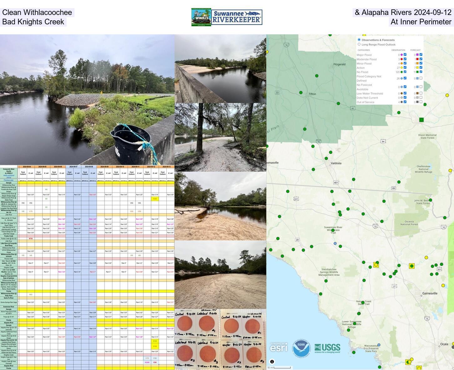 Clean Withlacoochee and Alapaha Rivers, Bad Knights Creek at Inner Perimeter 2024-09-12