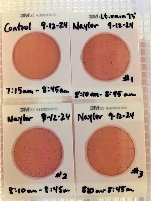 [Plates, Naylor Park Beach 2024-09-12]