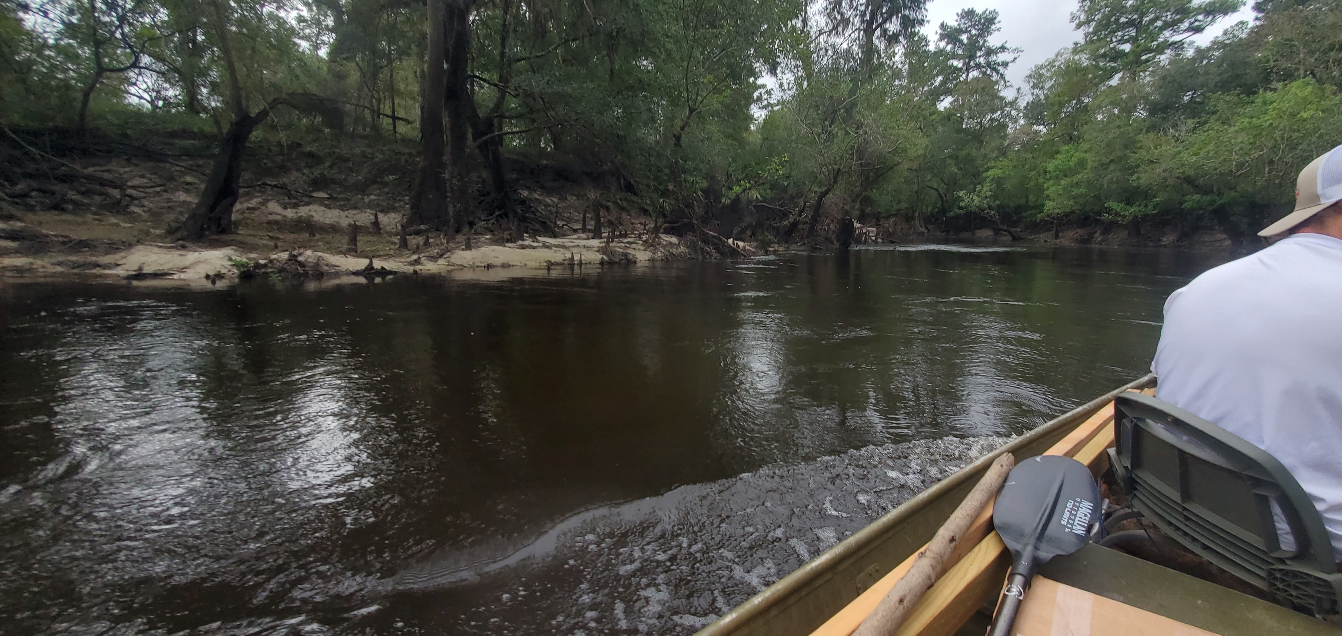 Sand and cypress knees, 2024:09:14 10:59:13, 30.8463360, -83.3505407