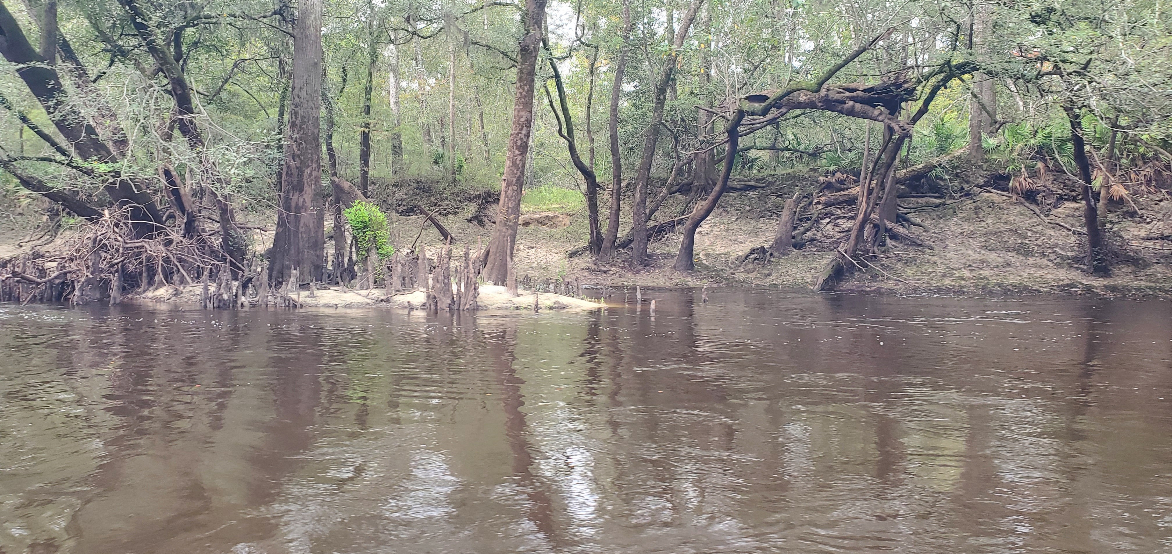 Paul Deloach Private Boat Ramp again, 2024:09:14 11:22:06, 30.8394210, -83.3716753